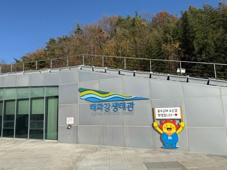태화강생태관 부산 근교 울산 실내 아이랑 가볼만한곳 :) 실내놀이터