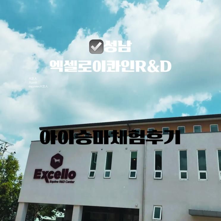 성남엑셀로 이콰인 R&D 센터 네살아이승마체험후기