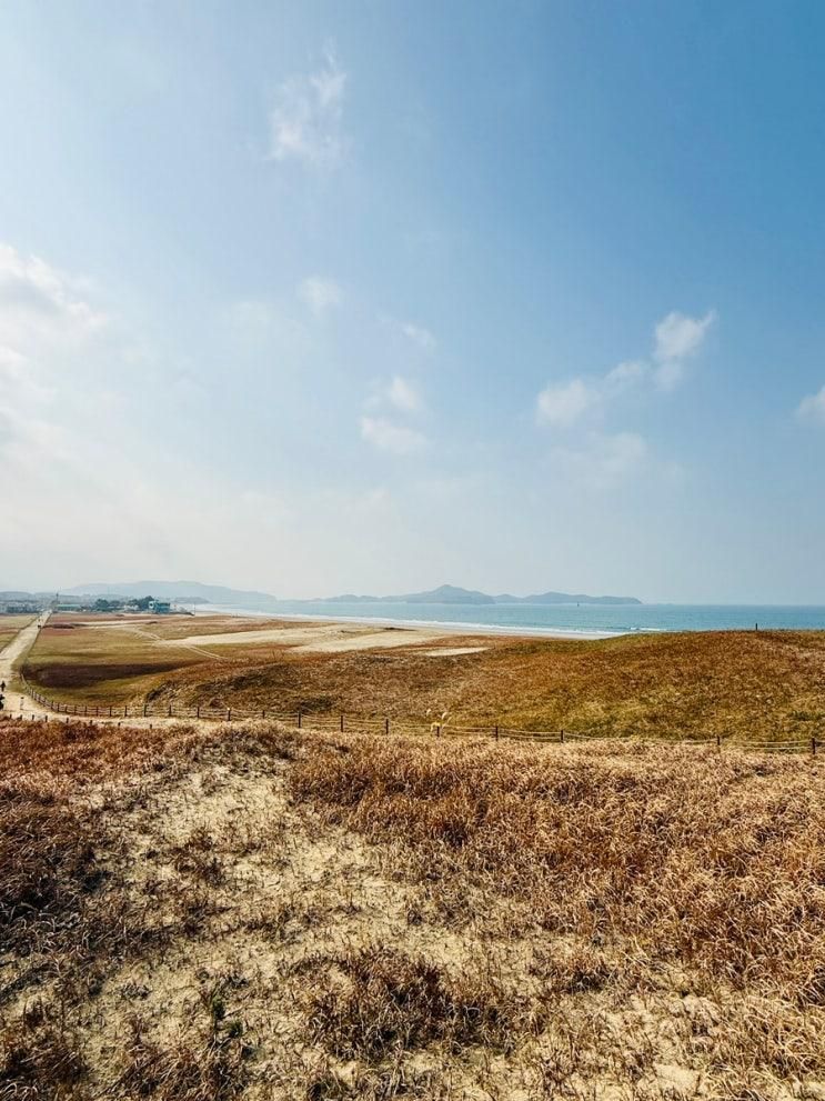충남 태안 신두리 해안사구 가보셨어요? 신두리/학암포 여행한다면 추천❤️