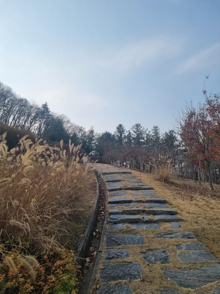 양평 블룸비스타 스탠다드 더블과 부대시설 상세후기
