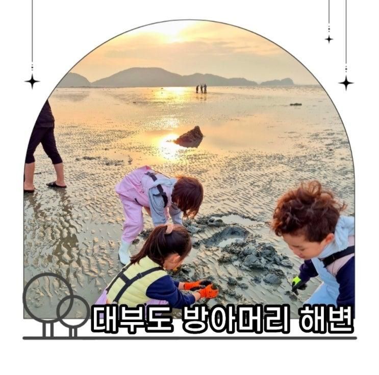 아이랑 무료 갯벌체험 해루질 대부도 방아머리 해변ㅣ하와이다 카페