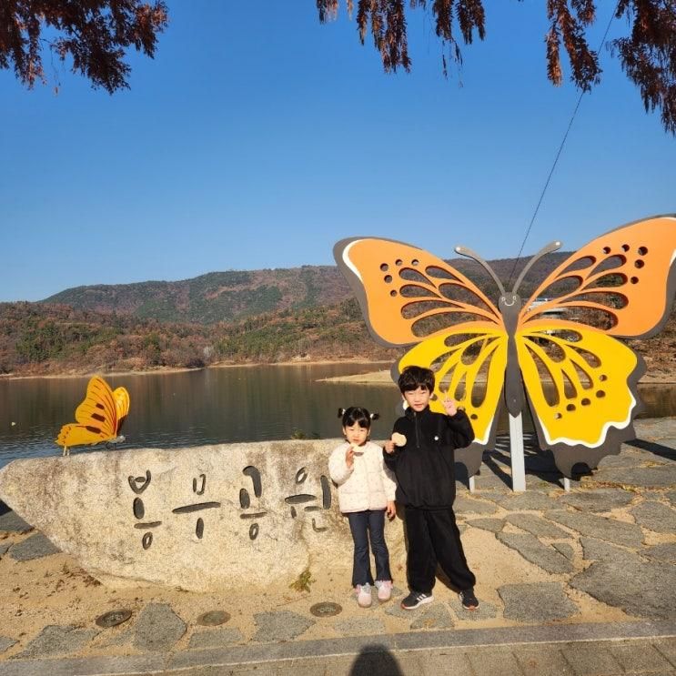 대구 산책 곤충 실내 아이랑 가볼만한곳 봉무공원 나비생태원