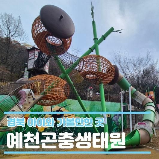 예천곤충생태원 경북 아이랑가볼만한곳 모노레일 시간표/가격