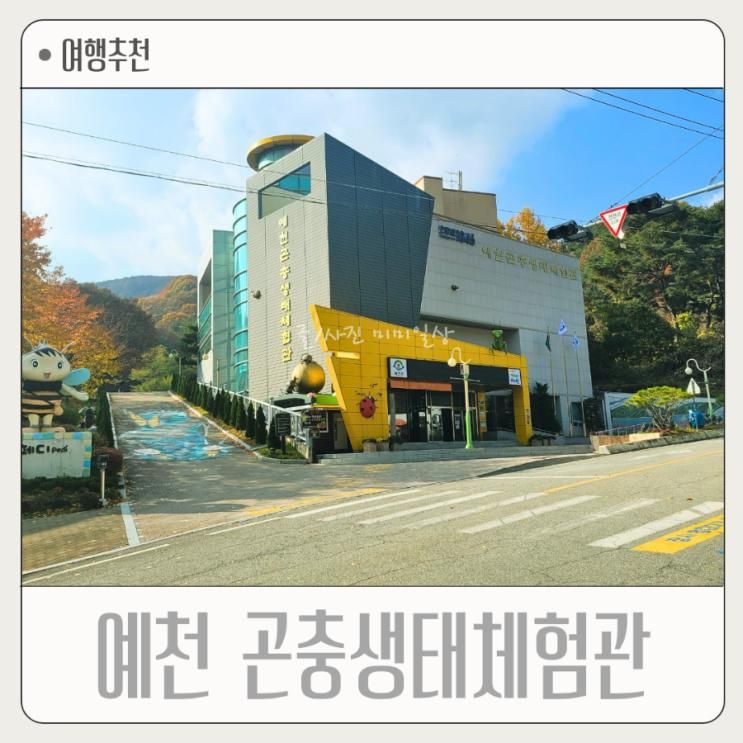 충북 예천 아이와 함께 가볼만한곳 예천곤충생태체험관! 야외 곤충생태원 놀이터 전망대 모노레일 타며 단풍구경도 해요