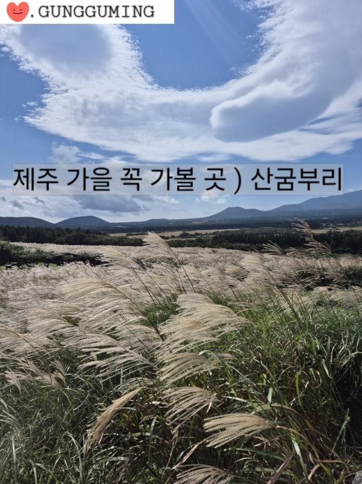제주 ) 산굼부리 꼭 가볼 곳👍