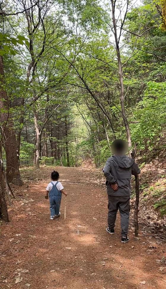 아이와 함께 가기 좋은 금어리 잣나무 유아숲체험원