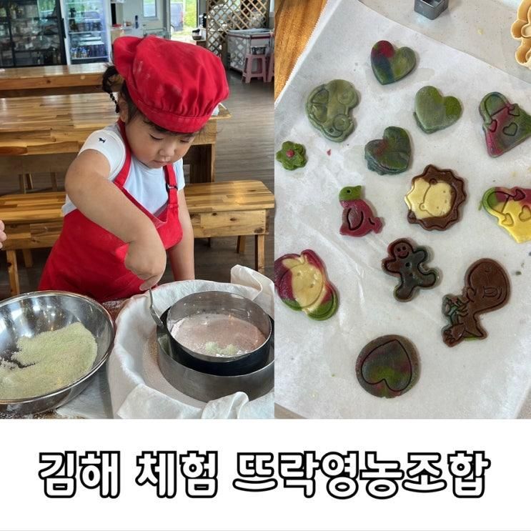 김해 아이랑 체험 내돈내산 쿠킹클래스  '뜨락영농조합'