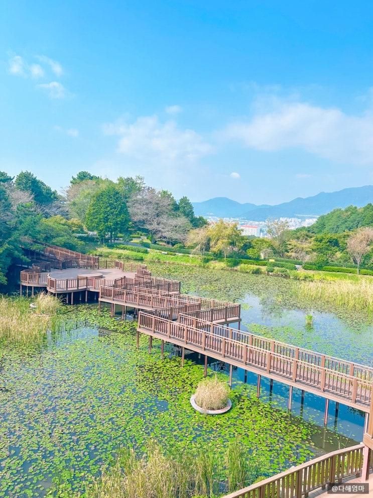 부산근교 아기랑 가볼만한곳 진해드림파크 목재문화체험장 예약 숲체험 주차
