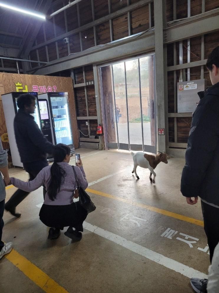 [전북] 고창 상하농원 아이랑