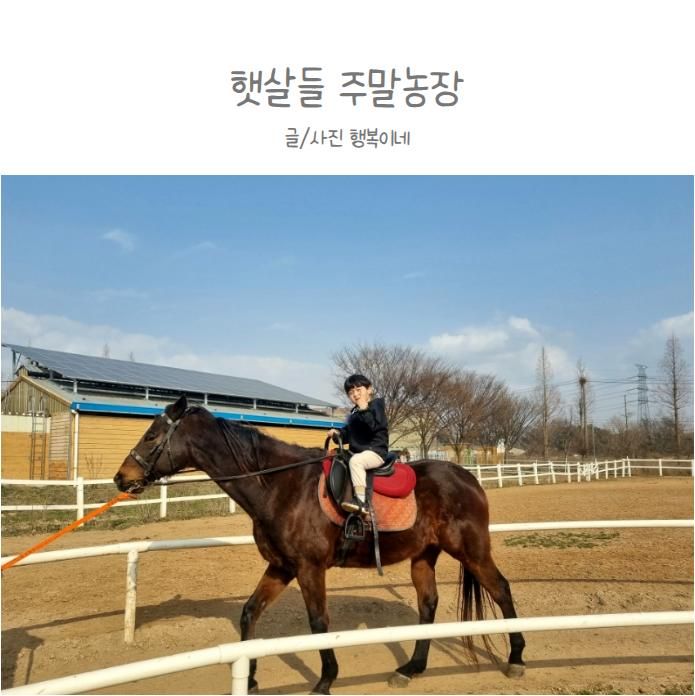 [평택 아이랑 가볼만한 곳] 햇살들 주말농장 :: 캠크닉, 승마체험, 농장체험이 한번에 가능한 곳