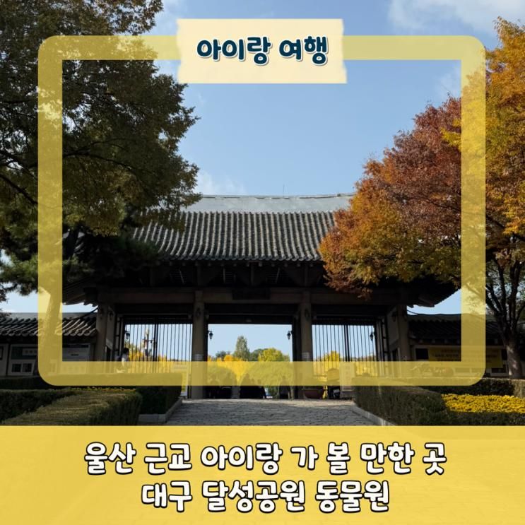 울산 근교 아이랑 가 볼 만한 곳 대구 달성 공원 동물원
