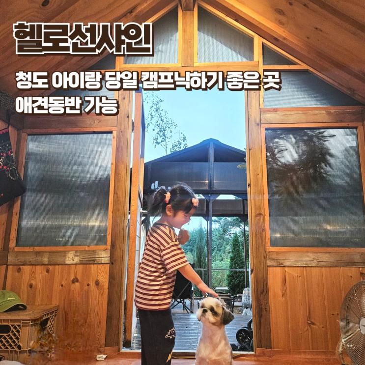 아이랑 당일 캠프닉하기 좋은 청도 헬로선샤인 올챙이캐빈 후기 애견동반 가능