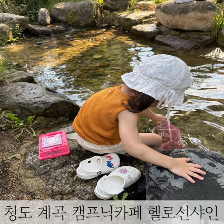 아기와 함께_청도 캠프닉 카페 헬로선샤인 계곡 이용후기