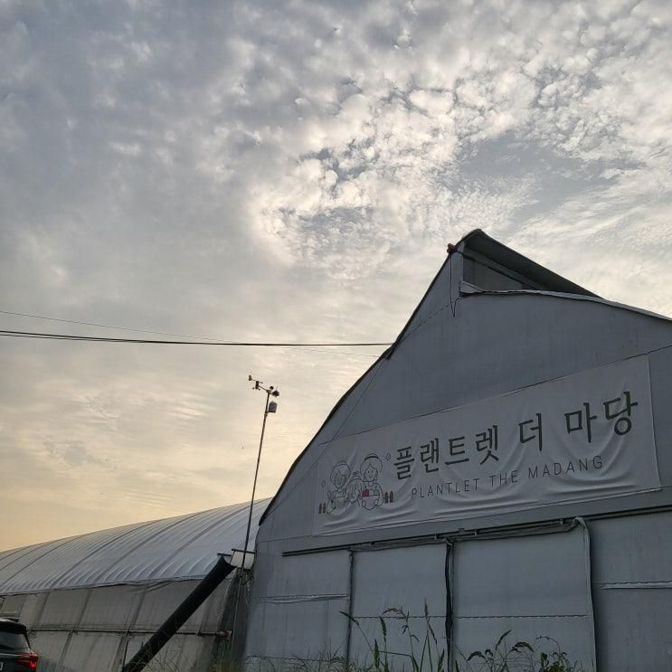 청주 '플랜트렛 더 마당' 농장체험 후기