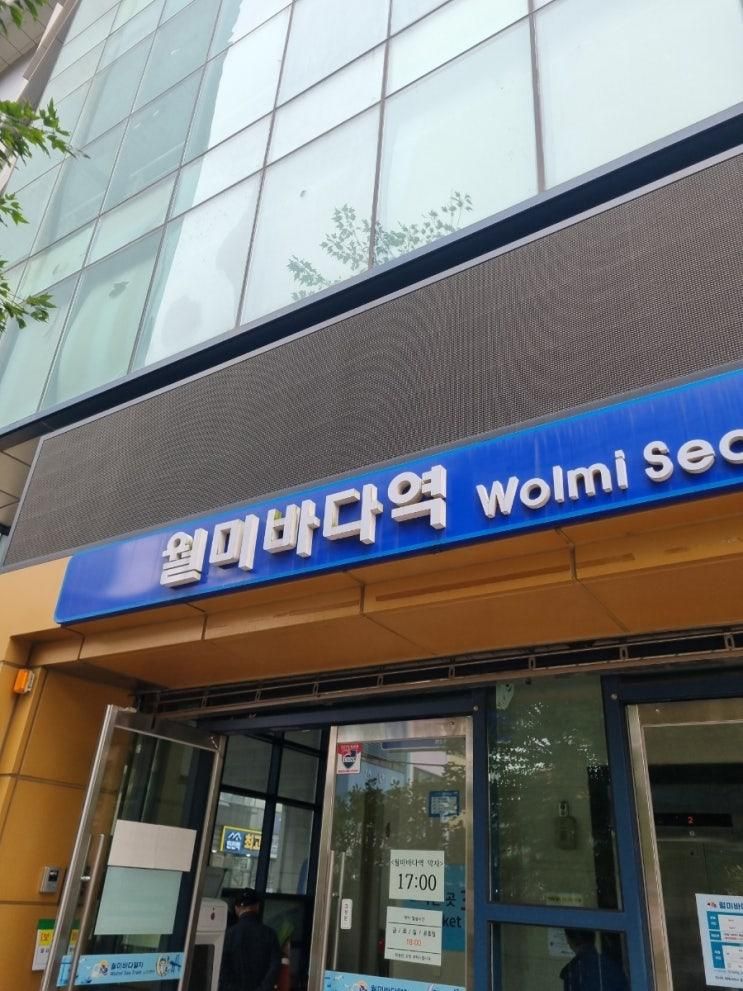 월미바다열차 모노레일 월미공원 물범카 월미전망대 월미도 아이와함께 가족나들이
