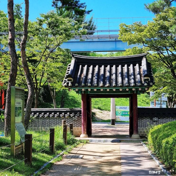 월미도 가볼만한곳 숲길 따라 산책하며 만나는 동물들 인천 월미공원