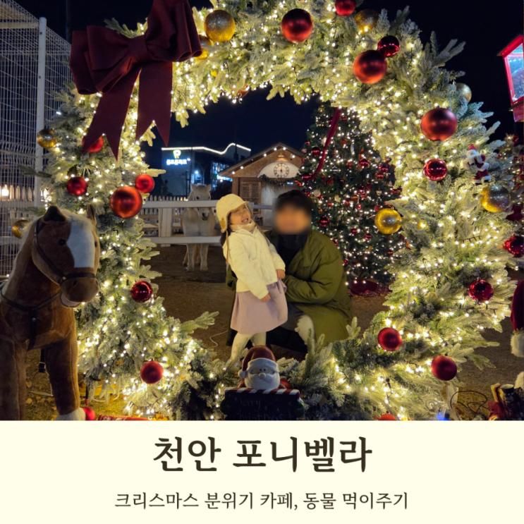 천안 크리스마스 카페 포니벨라 여러가지 동물들을 만나볼 수 있는 곳
