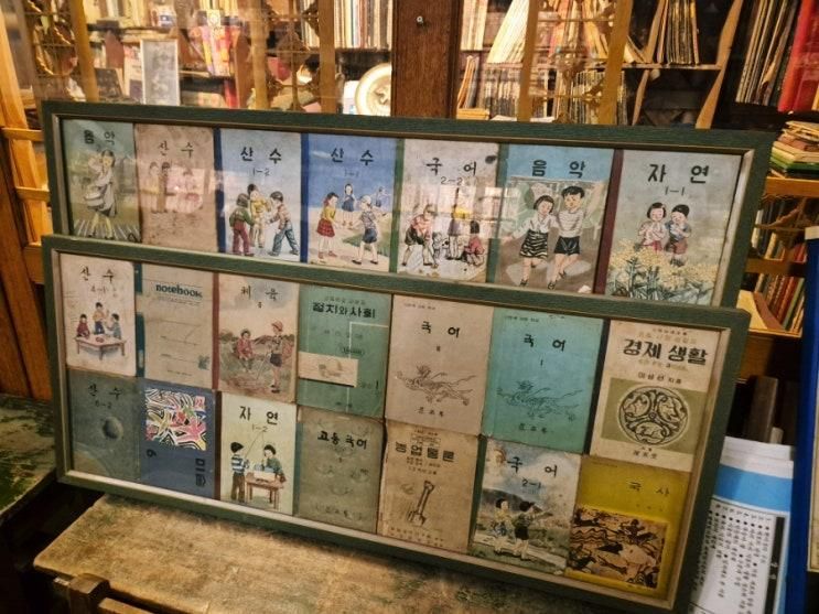 [내돈내산] 부여 가볼만한곳 신기하고 재미있는 부여생활사박물관 추천