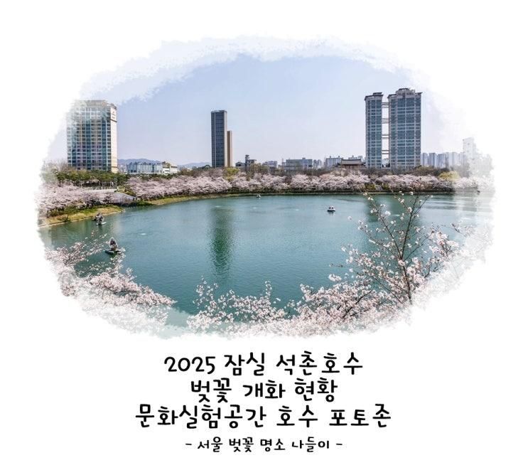 2025 잠실 석촌호수 벚꽃 개화 현황 문화실험공간 호수 포토존