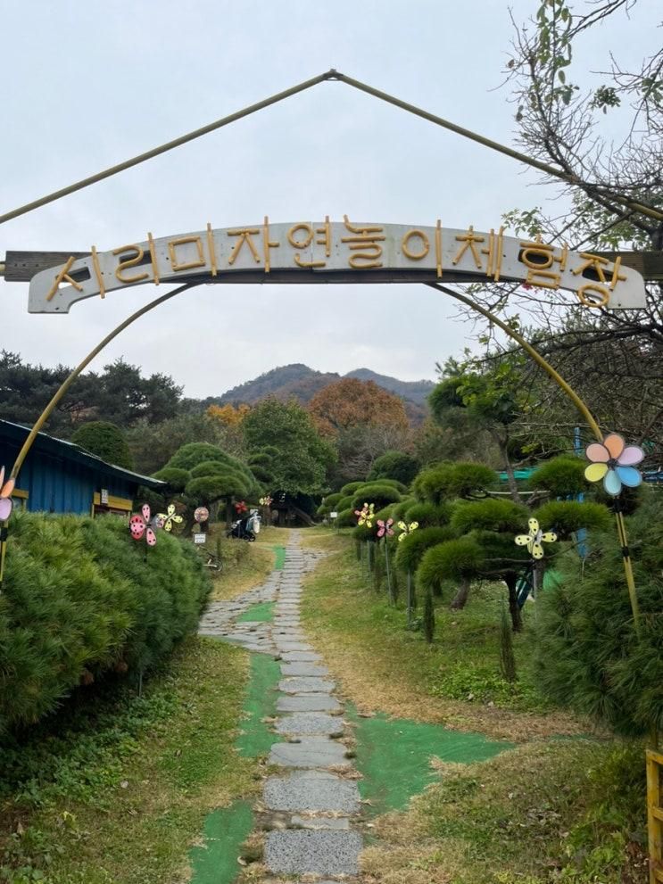 인천 강화 아이들과 가볼만한곳 시리미자연놀이체험장