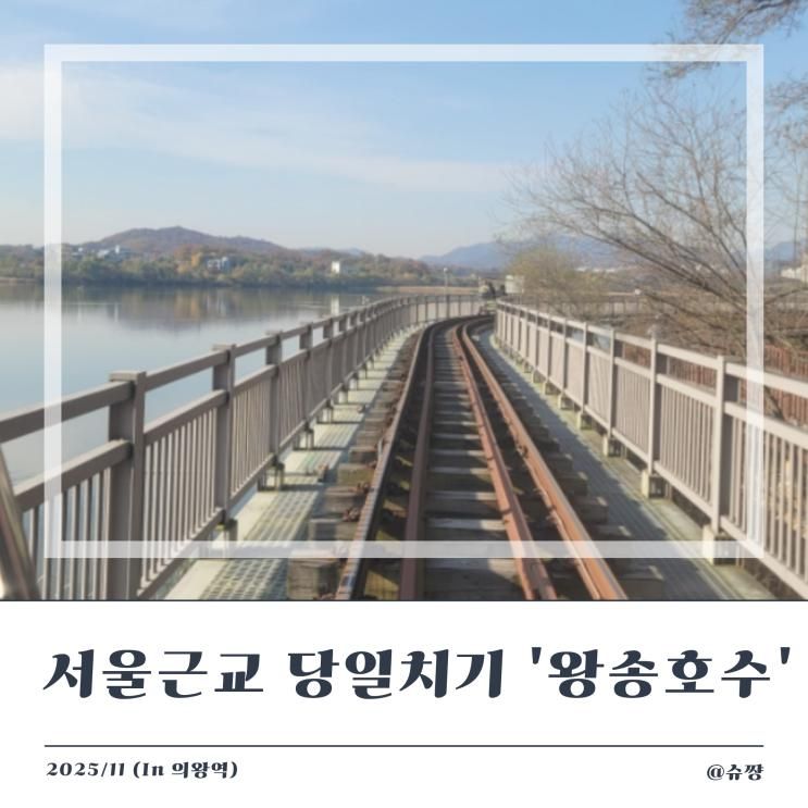 [서울근교 당일치기] 아이와 함께 가기 좋은 왕송호수 의왕 레일바이크, 산책, 만보 걷기(feat. 공영주차장 주차료)