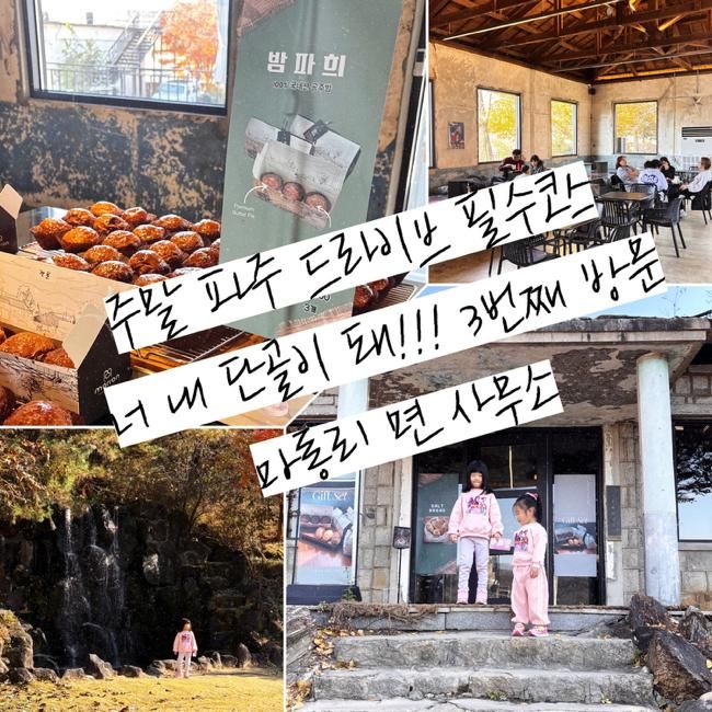 파주 빵지순례 필수코스 | 3번째 방문 찐단골 | 분위기, 맛, 감성 다잡은 마롱리면사무소