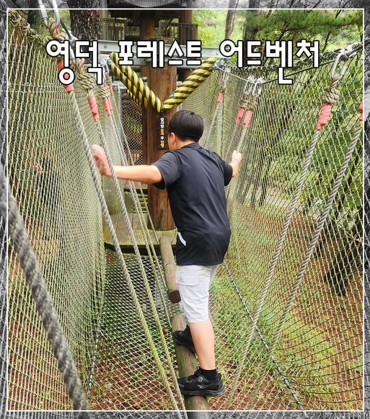 경북 아이와 가볼만한곳! 영덕 포레스트 어드벤처/ 산성계곡 생태공원 어드벤처
