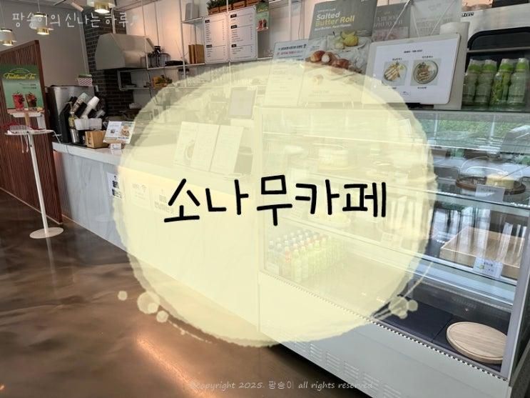 안성 1박2일 여행 아이와 함께 가기 좋은 소나무카페 만족쓰 ♬