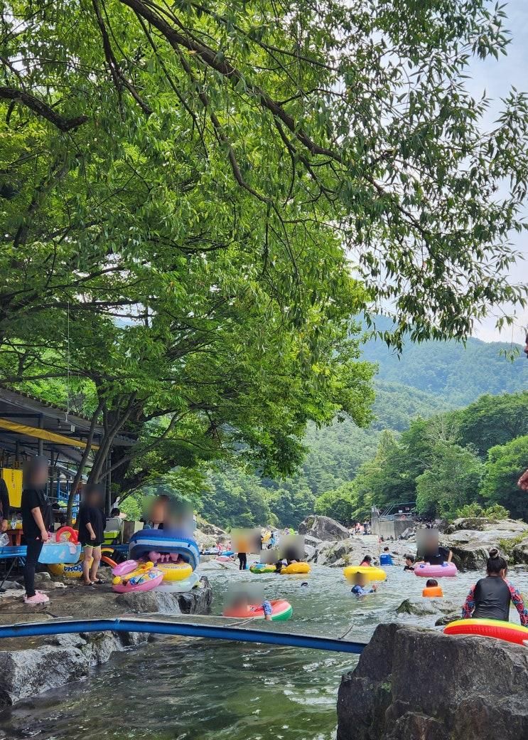 지리산 뱀사골 아이랑 계곡 털보가든 평상대여 솔직후기