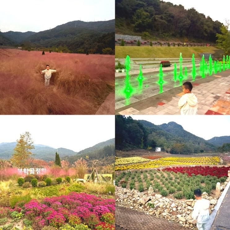 충북 음성 가볼만한곳 음성 봉학골 산림욕장 핑크뮬리 명소 추천