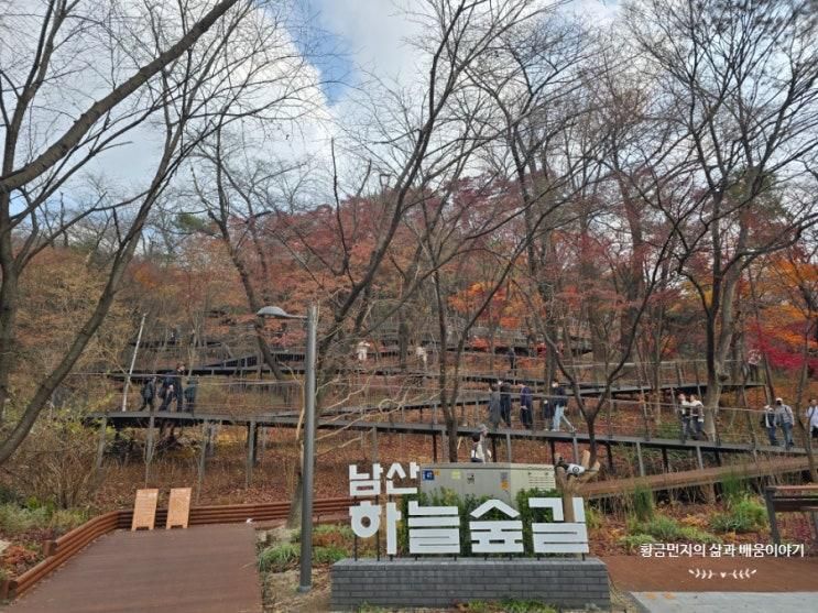 새로 생긴 남산하늘숲길에서 남산타워까지 걷기 (가는방법,코스,난이도,소요시간 총정리)