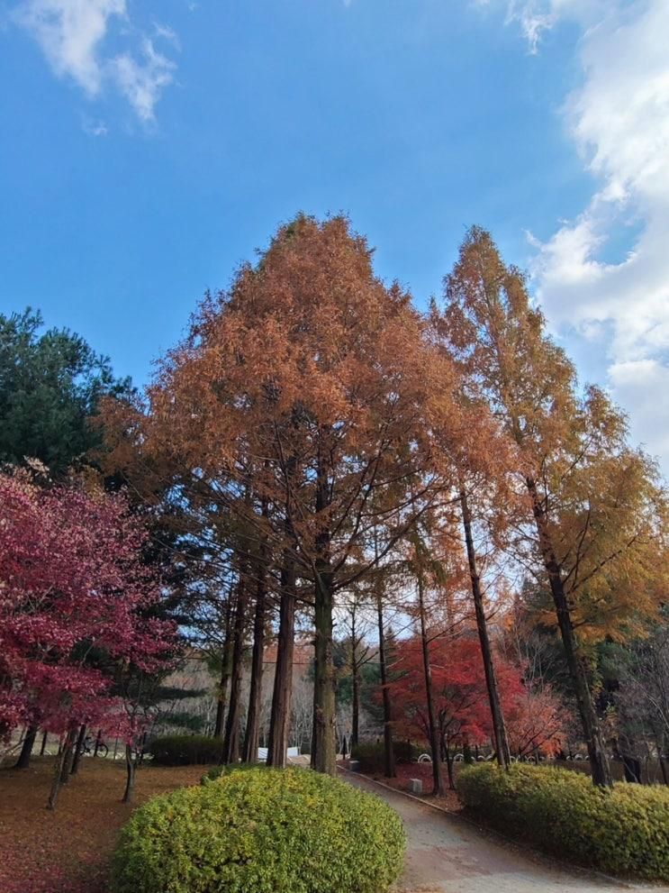 가을날 율동공원🍂