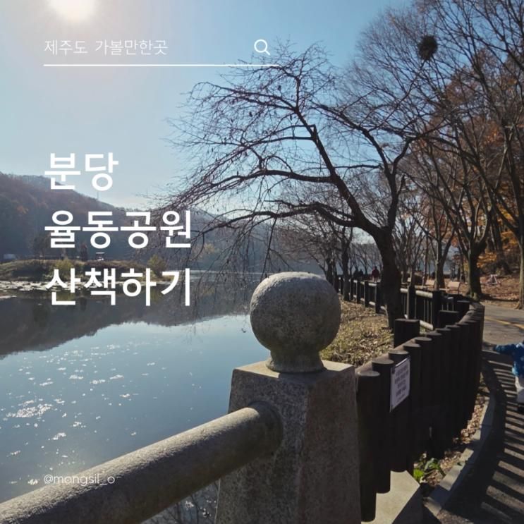 분당율동공원 경기도아이랑가볼만한곳 좋았던 산책 나들이