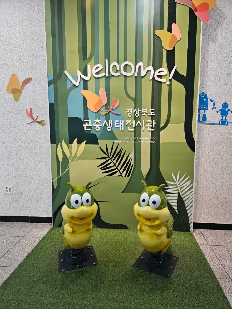 함창곤충생태전시관/상주아이랑가볼만한곳/상주드라이브