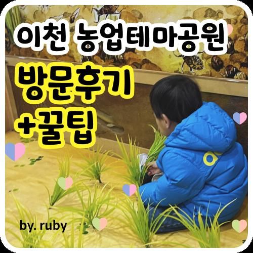 [경기도 무료 아이랑 가볼만한 곳] 이천 농업 테마공원 방문 후기 (꿀팁/영업시간/동절기영업시간/주차장)