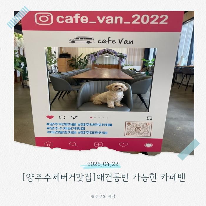 애견 동반이 가능한 양주 수제버거 맛집 카페밴