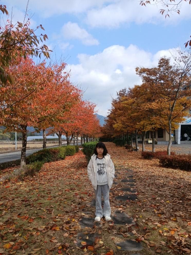 케익만들기체험-밀양 한천테마파크