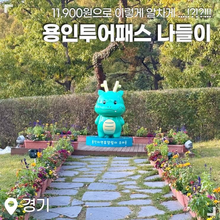 용인투어패스로 떠나는 !!! ~~ :: 경기 용인 당일치기 가을 나들이 코스 추천 🍃