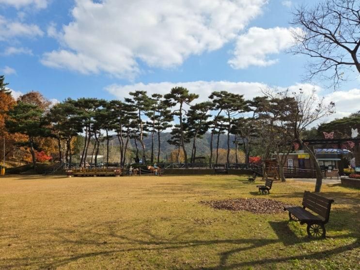 23개월 아기랑 다녀온 함평 자연생태공원 | 광주 근교 힐링 산책 코스