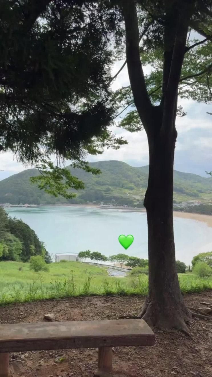 [남해 당일치기] 아이와 함께하는 힐링 코스! 맛집+놀거리 알차게 즐기기