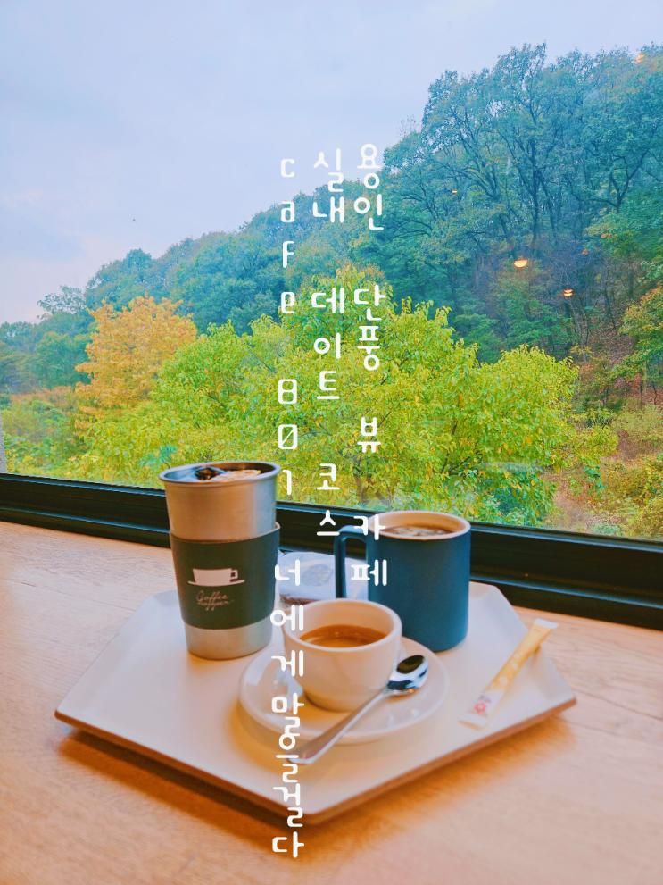 용인 단풍구경 카페 양지 cafe 801너에게말을걸다 단풍 뷰 경치 좋은 실내 데이트 코스 가볼만한곳