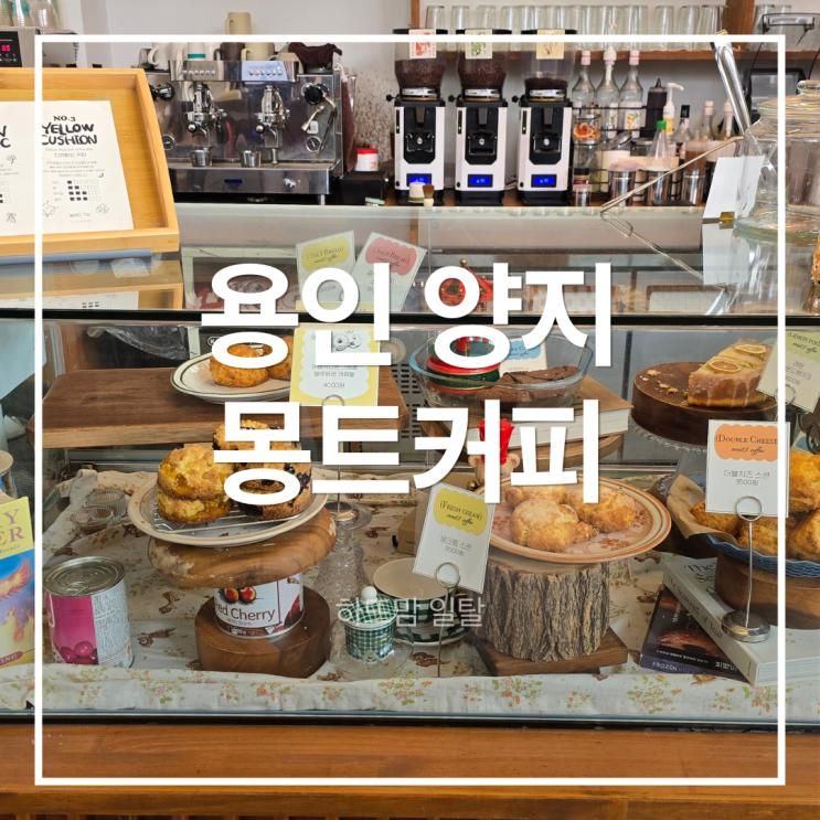 🎅 용인 양지 브런치카페 ‘몽트커피’