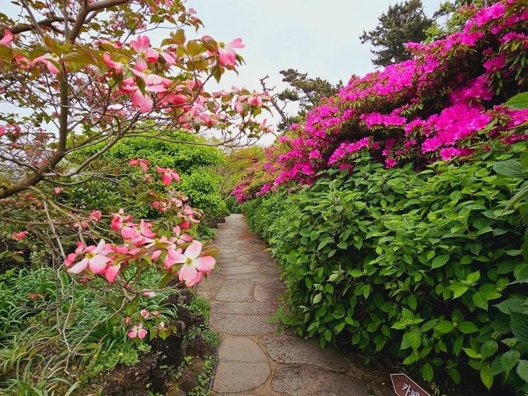 우연히 만난 서귀포시 숨이 모여 쉼이되는 정원 이야기