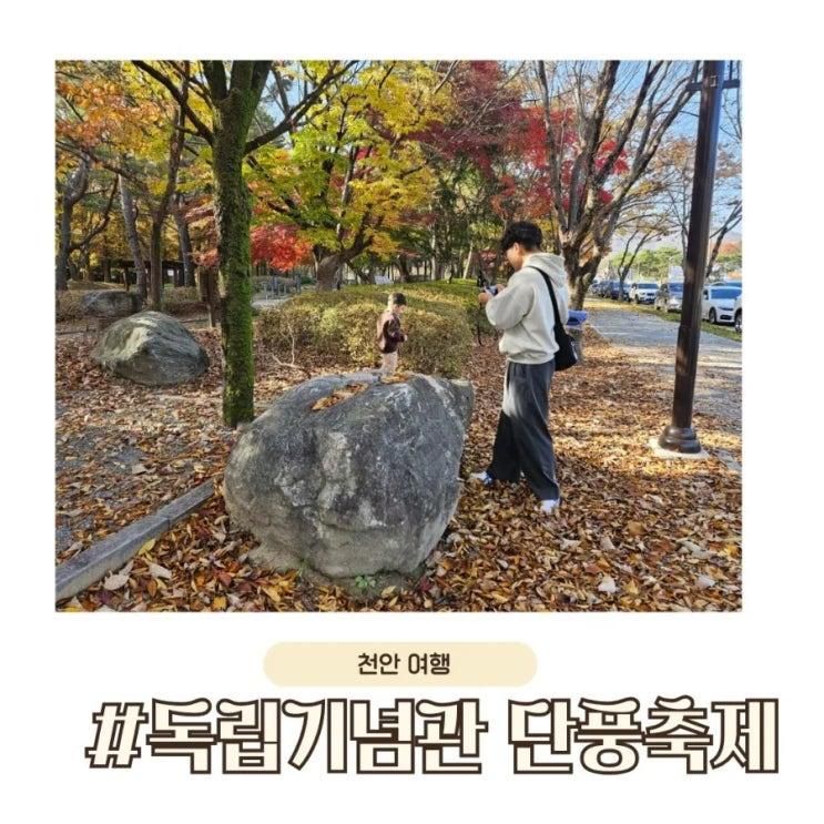 독립기념관 단풍, 30개월 아이랑 가을정취 느끼기🍁