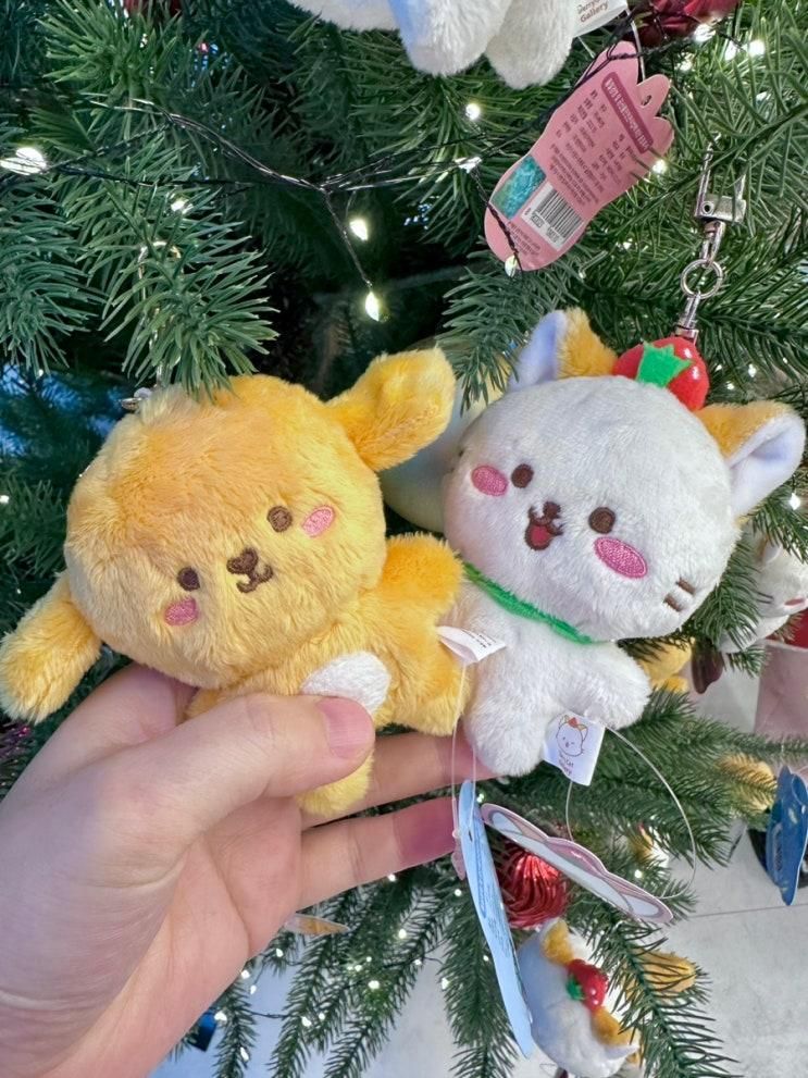 베리캣갤러리카페 키즈베이킹 마들렌만들기 동탄가볼만한곳