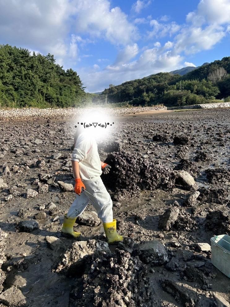남해갯벌체험