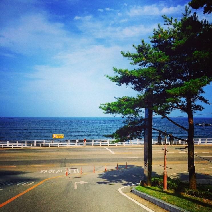 강원도 속초호텔 마레몬스호텔 가성비호텔 전망 멋진 호텔