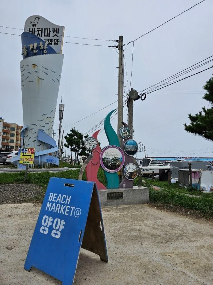 아이와 양양 여행 가볼만한 곳 - 후진항 비치마켓, 헤밍웨이 전망대 후기
