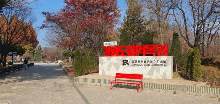 춘천여행 비오는날 실내 데이트 가볼만한곳 강원도립화목원