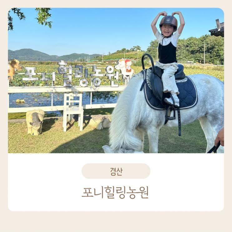 대구근교아이와가볼만한곳/경산승마체험/포니힐링농원